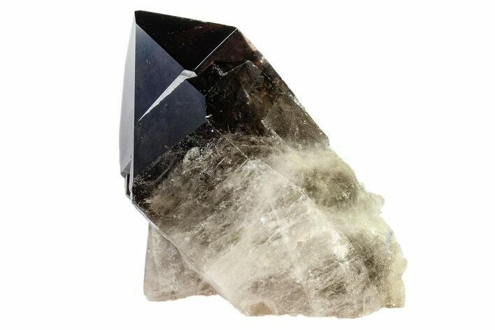 Dark Smoky Quartz Crystal Cluster - Brazil #119573